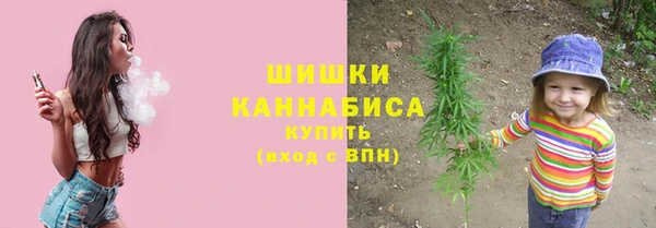 ГАЛЛЮЦИНОГЕННЫЕ ГРИБЫ Касимов