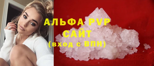 ГАЛЛЮЦИНОГЕННЫЕ ГРИБЫ Касимов