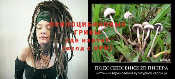 метадон Каменка