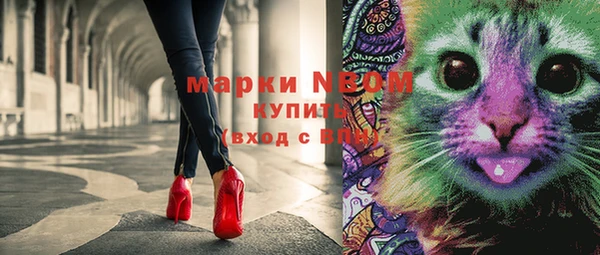 метадон Каменка