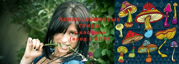 2c-b Каменск-Шахтинский