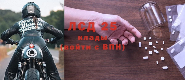 ГАЛЛЮЦИНОГЕННЫЕ ГРИБЫ Касимов