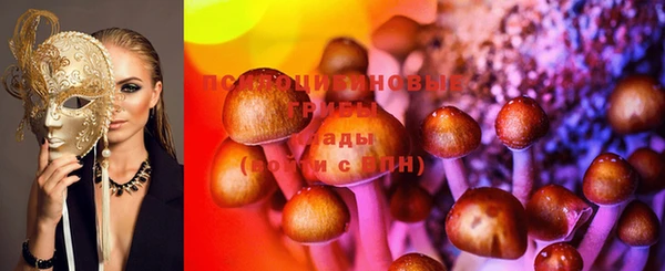 метадон Каменка