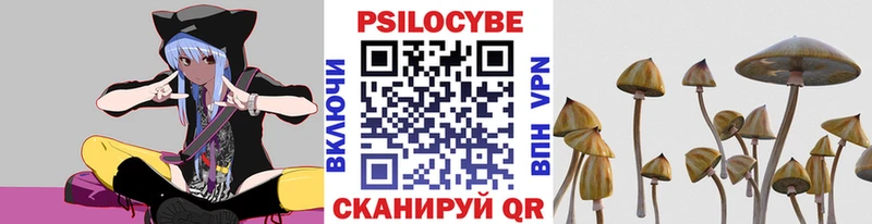 Псилоцибиновые грибы Psilocybine cubensis  Купить закладки  Дмитровск 